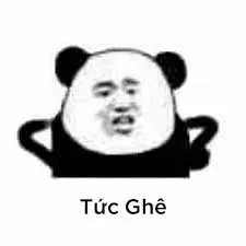 meme tức 26