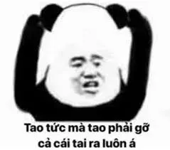 meme tức 30