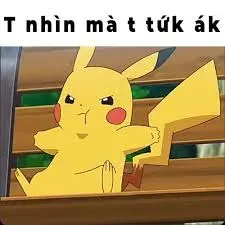 meme tức 37