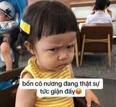 meme tức 38