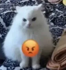 meme tức giận 1