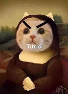 meme tức giận 5
