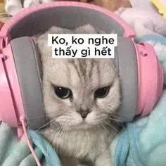 meme tức giận 8