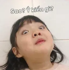 meme tức giận 14