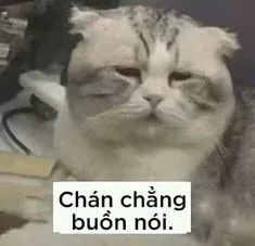 meme tức giận 22