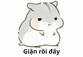 meme tức giận 27
