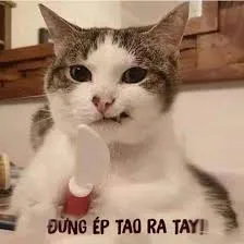 meme tức giận 34