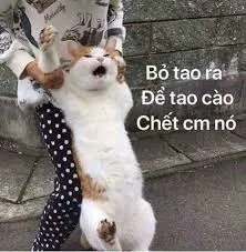 meme tức giận 35