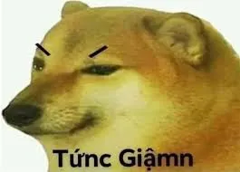 meme tức giận 36