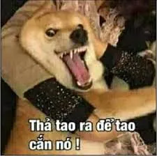 meme tức giận 39
