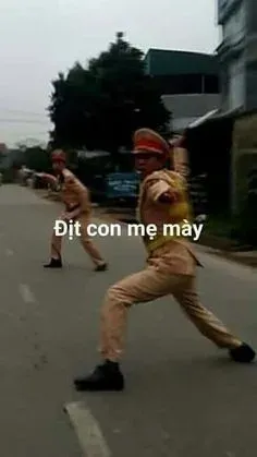 meme việt nam 12
