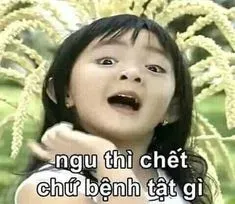 meme việt nam 15