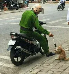 meme việt nam 18