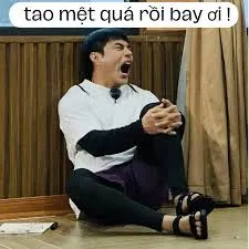 meme việt nam 22
