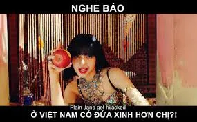 meme việt nam 24