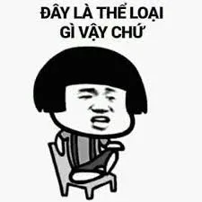 meme việt nam 27