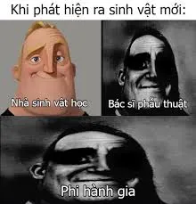 meme việt nam 34
