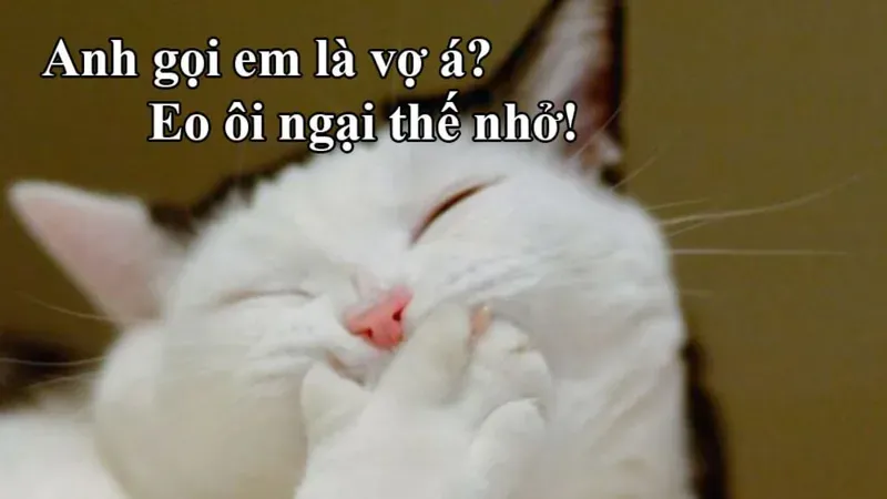 meme vui 6