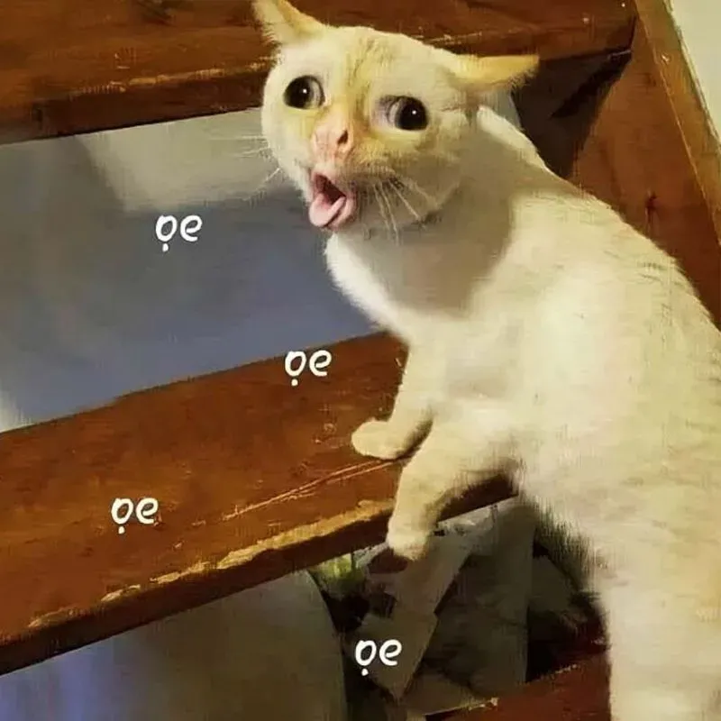 meme vui 14