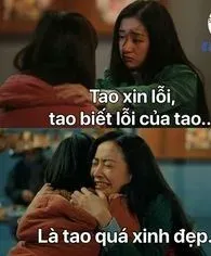 meme xin lỗi 1