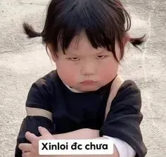 meme xin lỗi 3