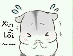 meme xin lỗi 4