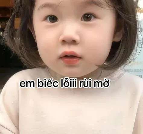 meme xin lỗi 9