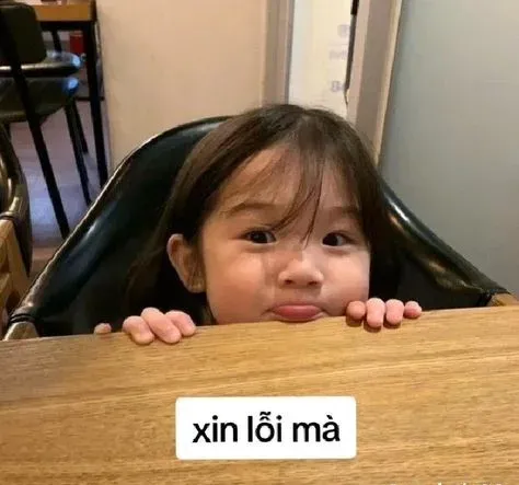 meme xin lỗi 10