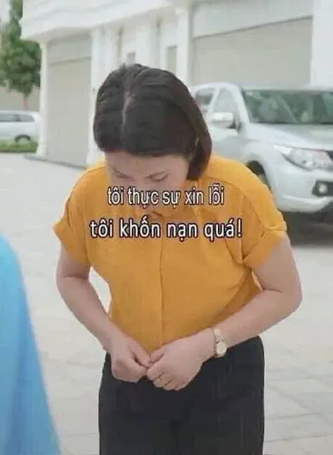 meme xin lỗi 13
