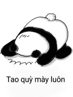 meme xin lỗi 14