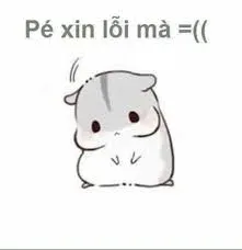 meme xin lỗi 19