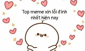 meme xin lỗi 23