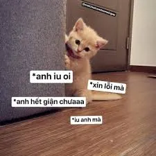 meme xin lỗi 29