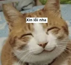 meme xin lỗi 34