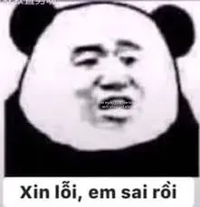meme xin lỗi 27