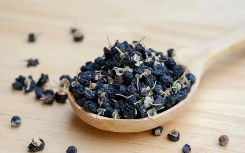tác hại của hắc kỷ tử 3