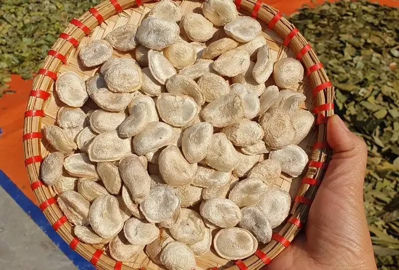tác hại của hạt sang 5