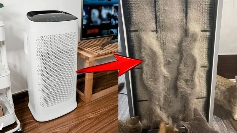 tác hại của máy tạo ion âm 3