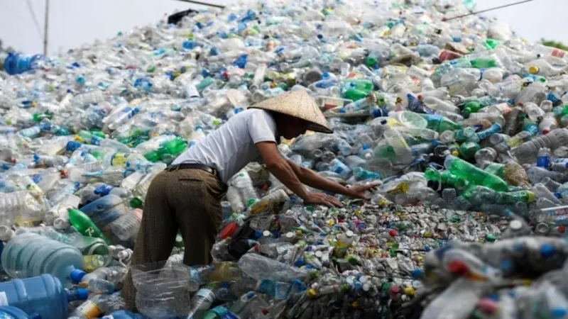 tác hại rác thải nhựa 8