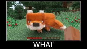 what meme 11