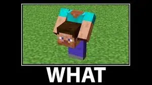 what meme 15