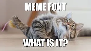 what meme 16