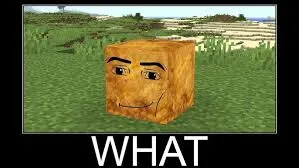 what meme 17