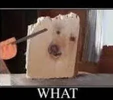 what meme 24