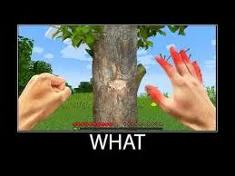 what meme 28