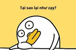 what meme 31