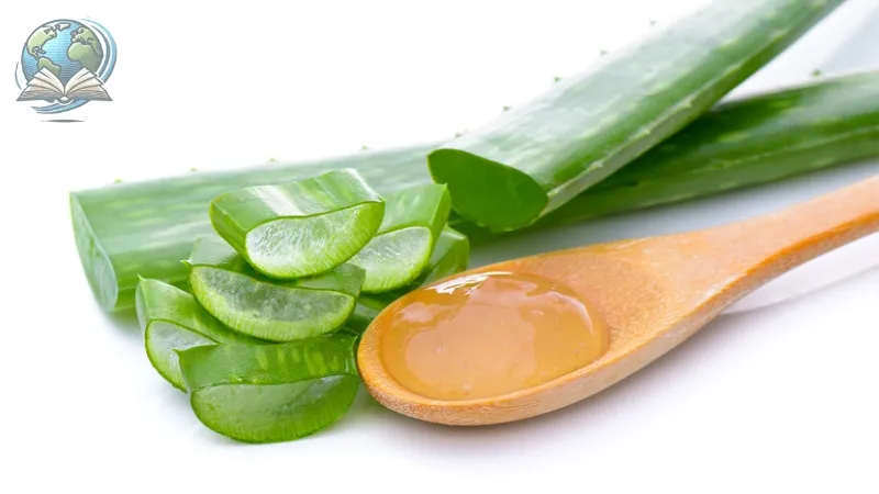 làm đẹp bằng nha đam 4