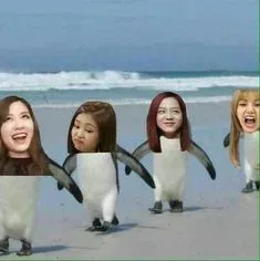 meme blackpink 7