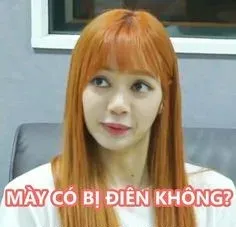 meme blackpink 10