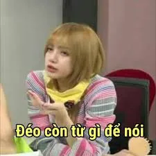 meme blackpink 14